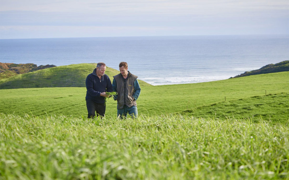 Spring Smarts Get The Most From Your Pasture This Spring