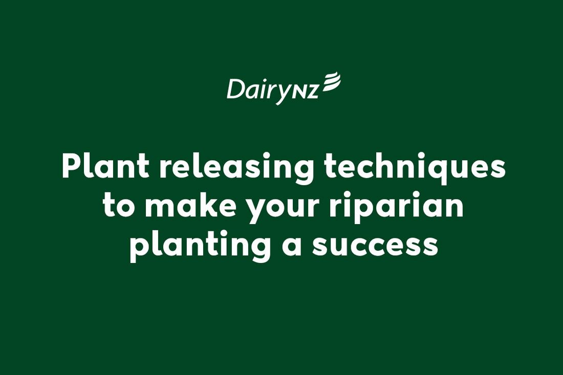Plant Releasing Techniques Video Placeholder Image