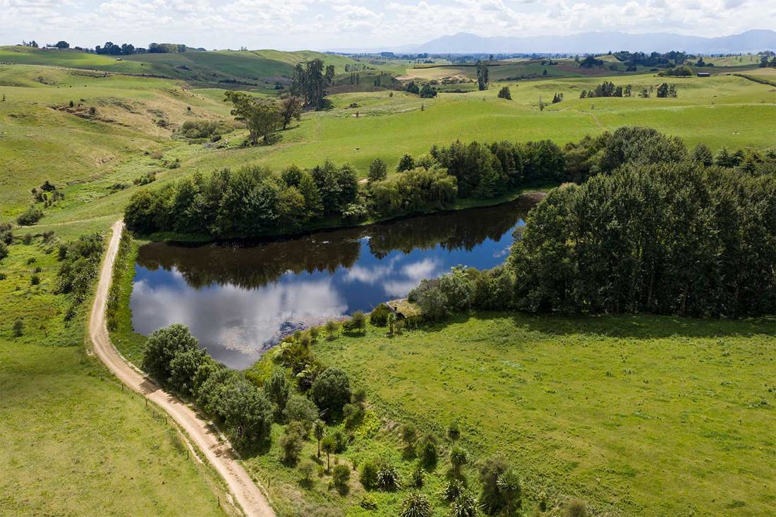 Why Ponds Need Wetlands Summary Image 1500X1000