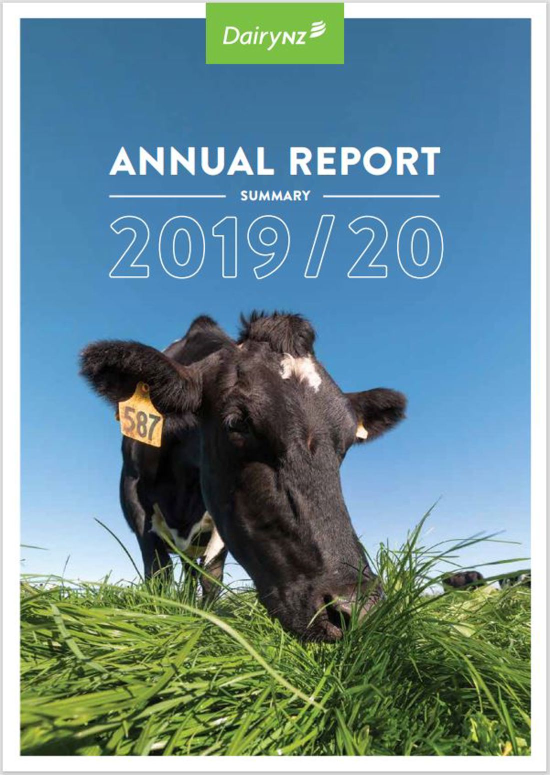 Annual Report 2019 2020 Summary Image