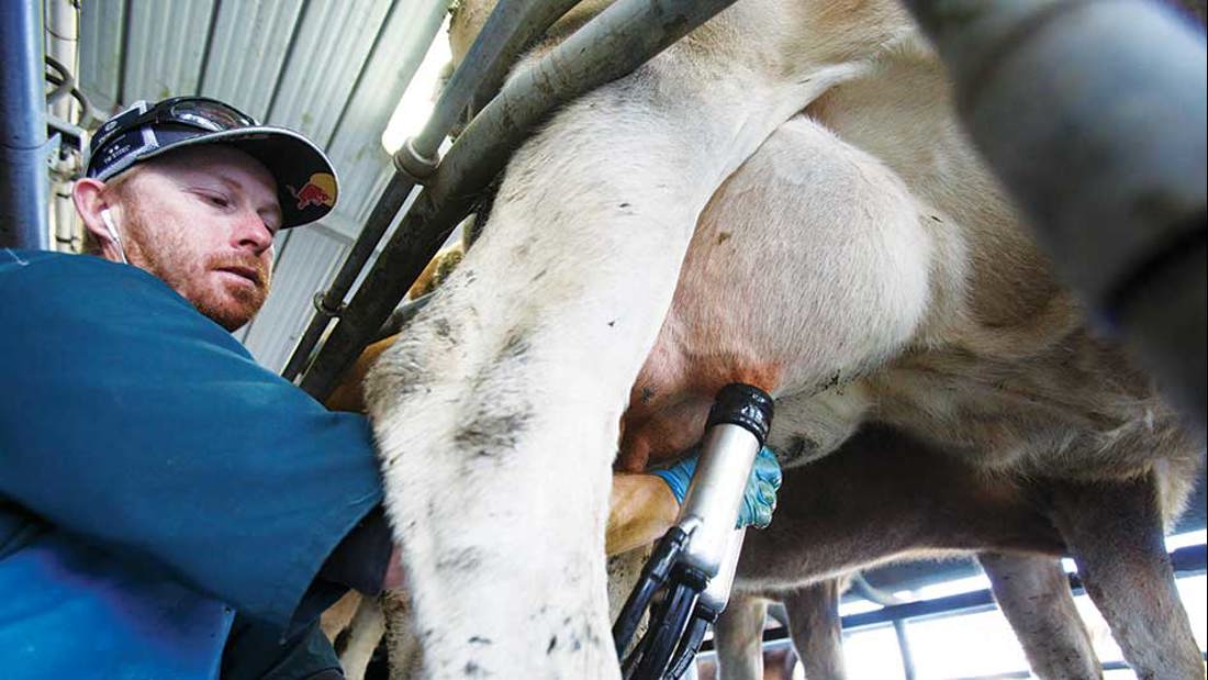Inside Dairy October November 2020 Maxt Gordon Mcfetridge Pod4