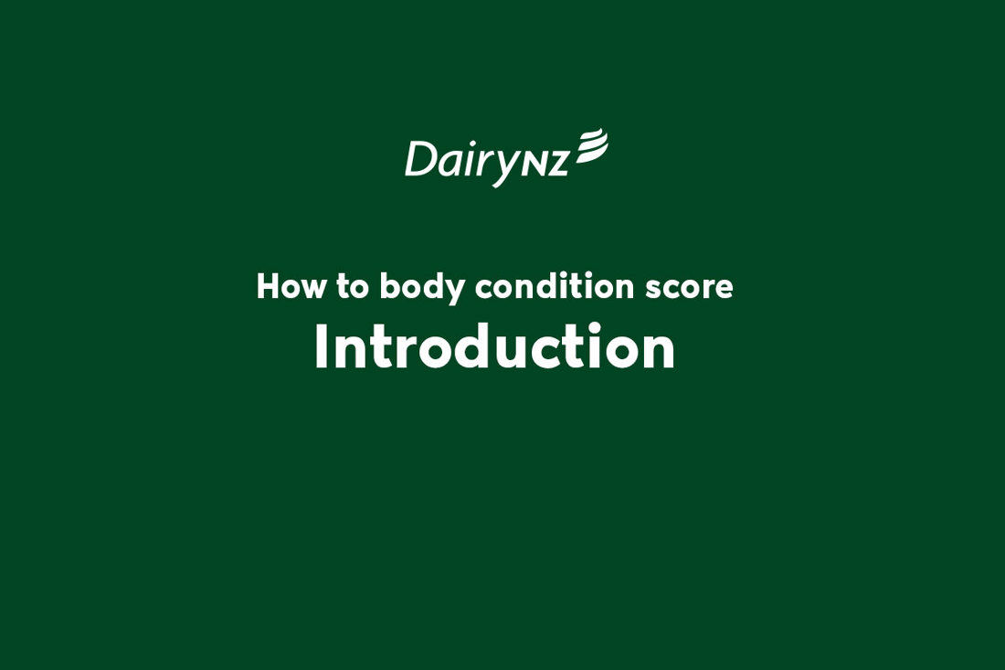 How To BCS Introduction Video Placeholder Image