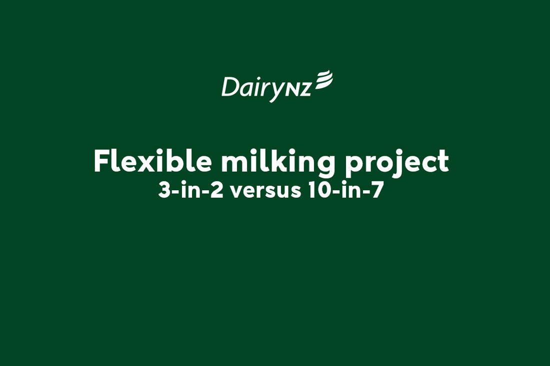 Flexible Milking Project 3In2 Versus 10In7 Video Placeholder Image