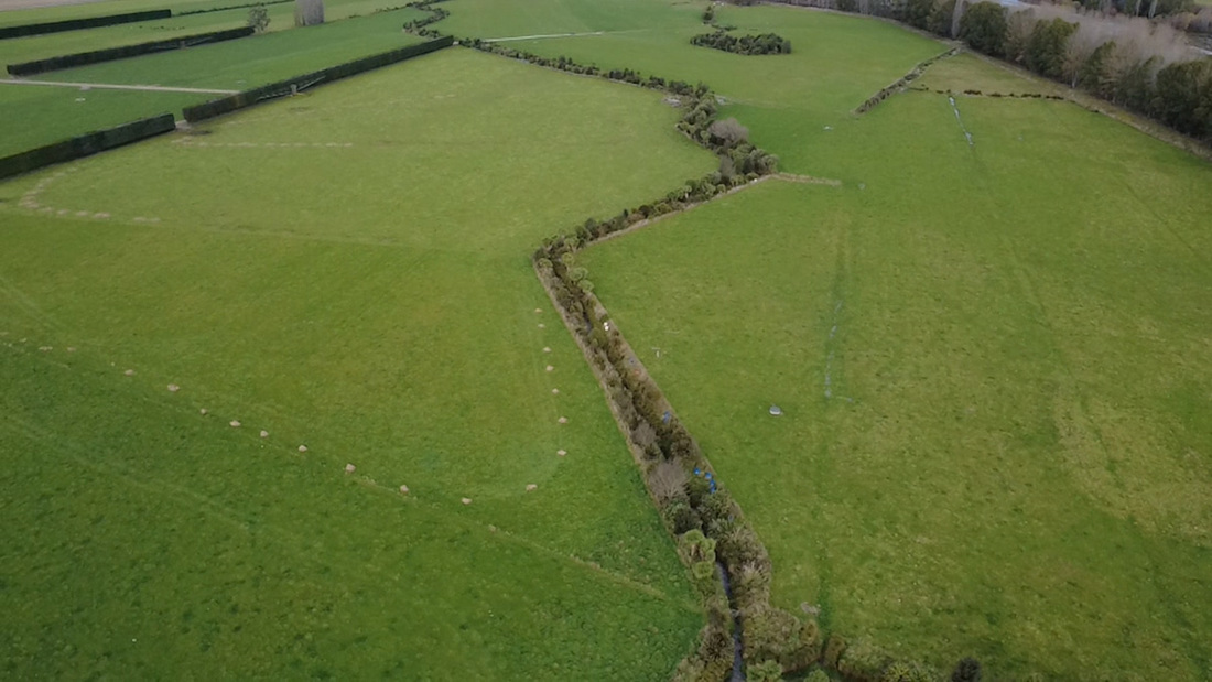 Stream Restoration In Ashburton Image11 1200X675