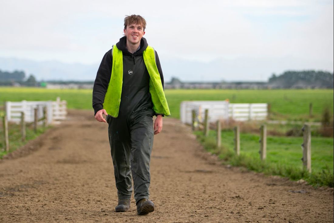 Matthew Fox Is Enthusiastic About A Career Dairy Farming