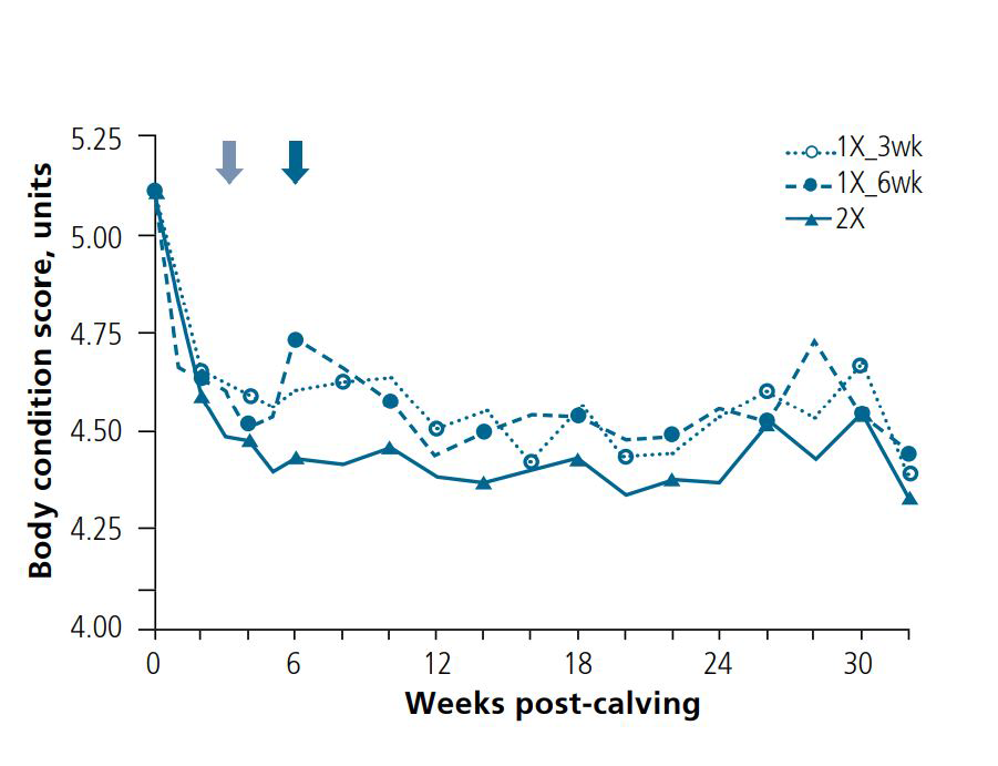 Early Lactation OAD Reasearch 2