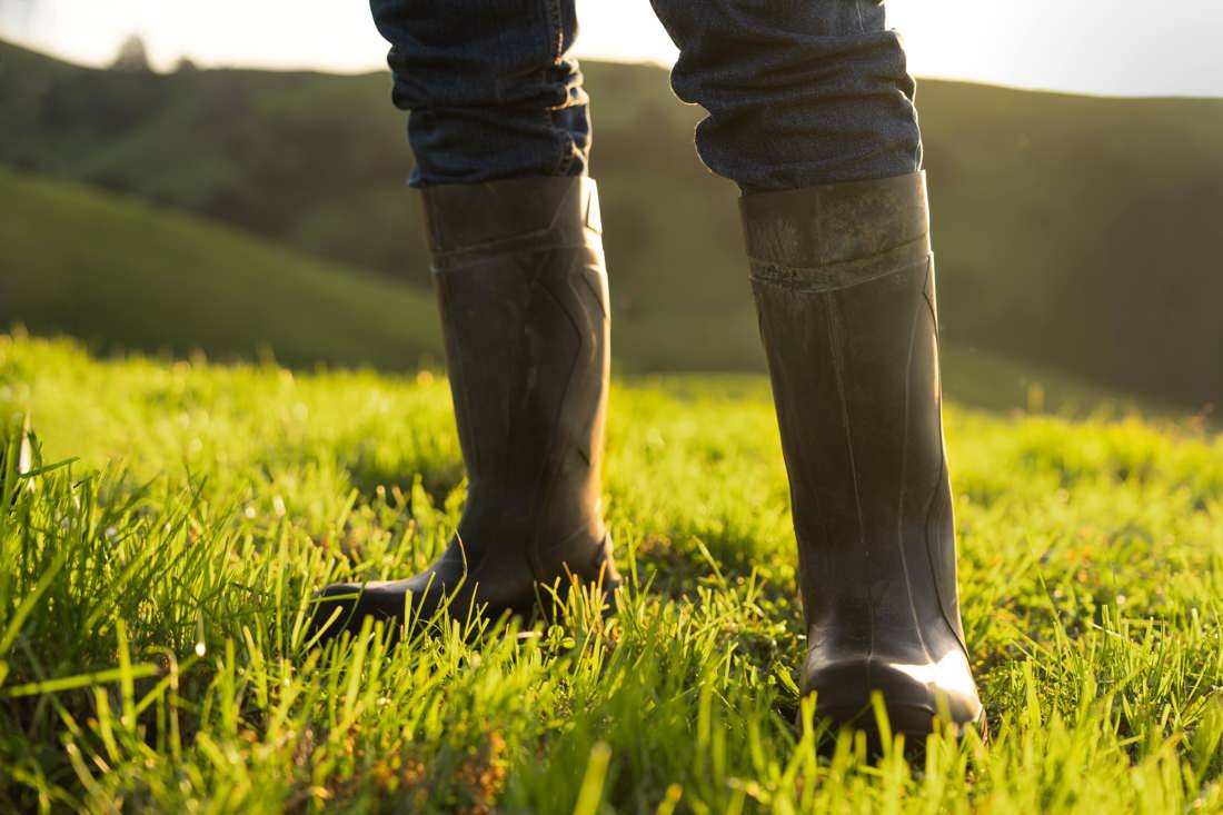 A pair of boots