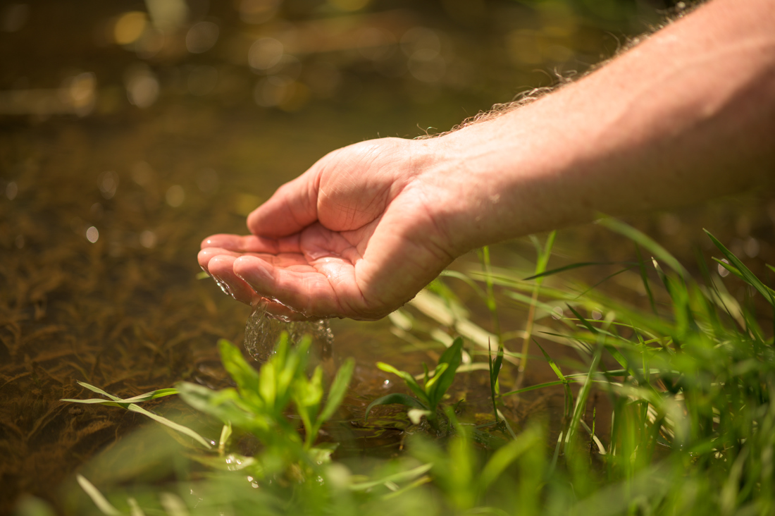 An image of a human hand touching a water