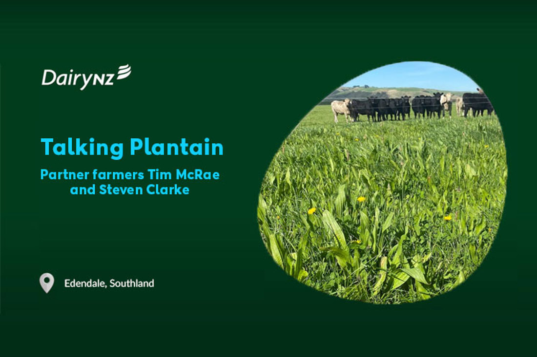 Biodiversity Developing Runoff Detention Ponds On Farm Video Placeholder Image 747X498