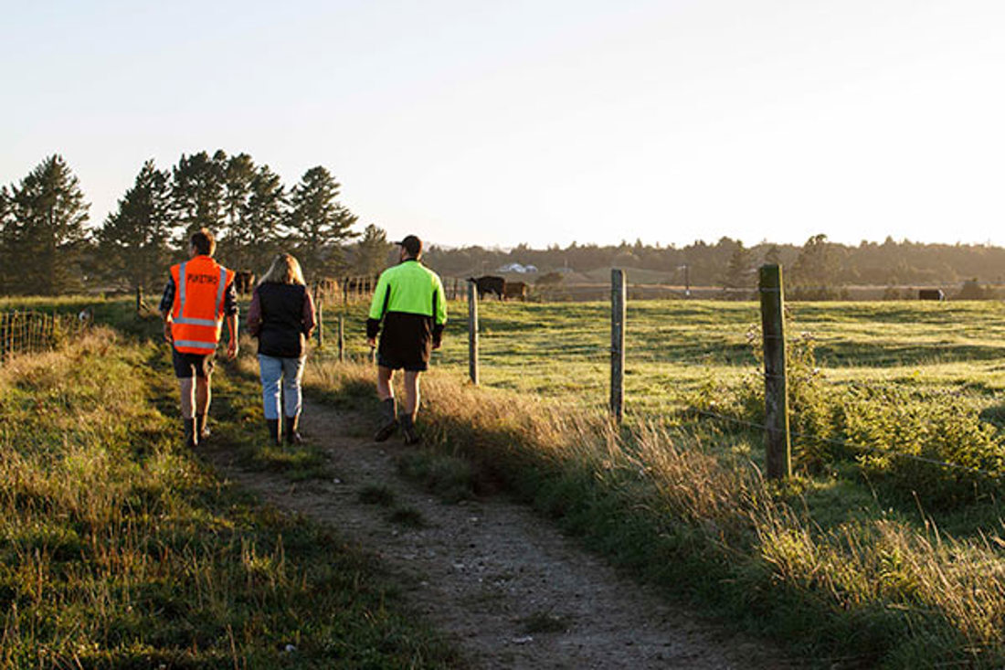 A group of people walking in a farm field