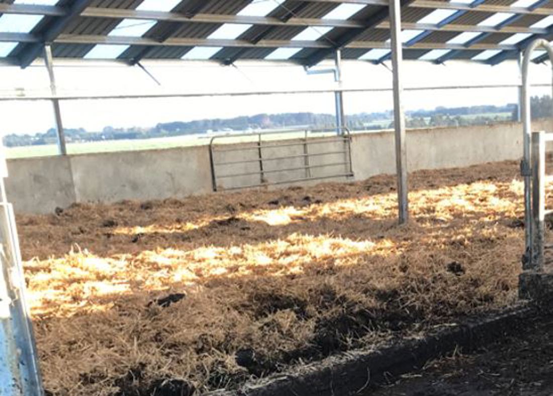 Off Paddock Investment Bedding Material Straw In Calving Bay Of Freestall Barn