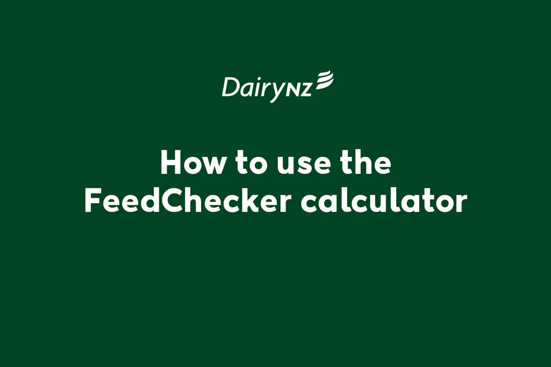 Video Placeholder Image Feedchecker