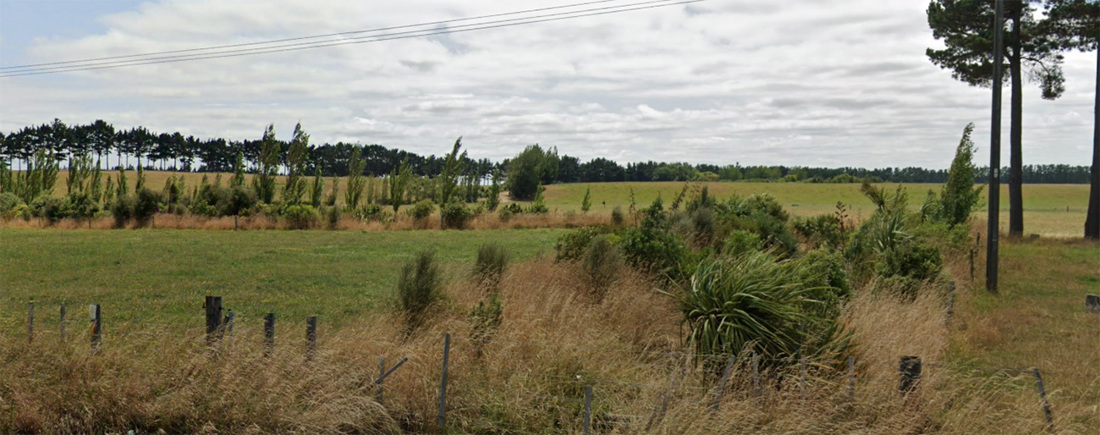 Riparian Panting Manawatu Hastings Image3 1300X514