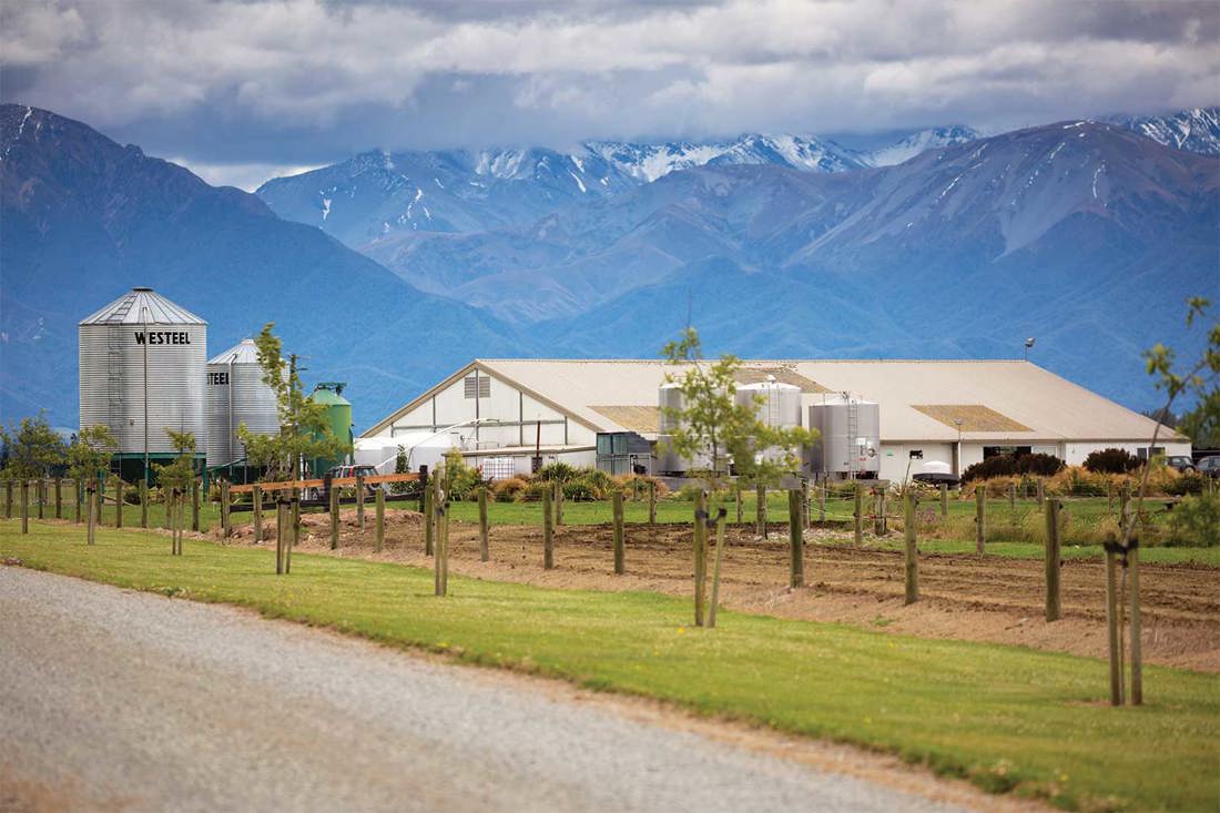 First Steps Towards Dairying Work Outdoors 1500X1000