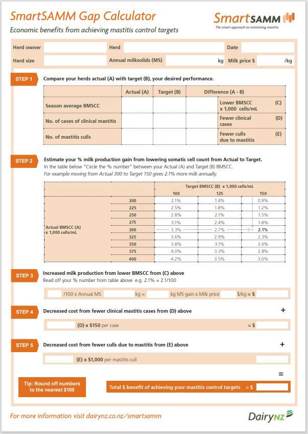 Smartsamm Gap Calculator Template Image