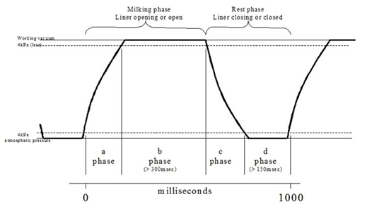 Pulsation cycle graph
