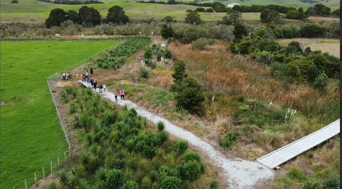 Biodiversity And Community Kaipara Harbour Image1 1300X720