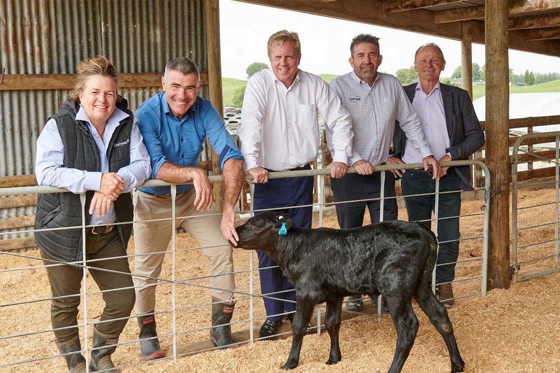 Boosting The Dairy Beef Sector Summary Image 1500X1000