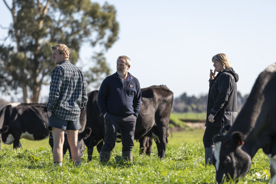 A family checking up on their herd of cows