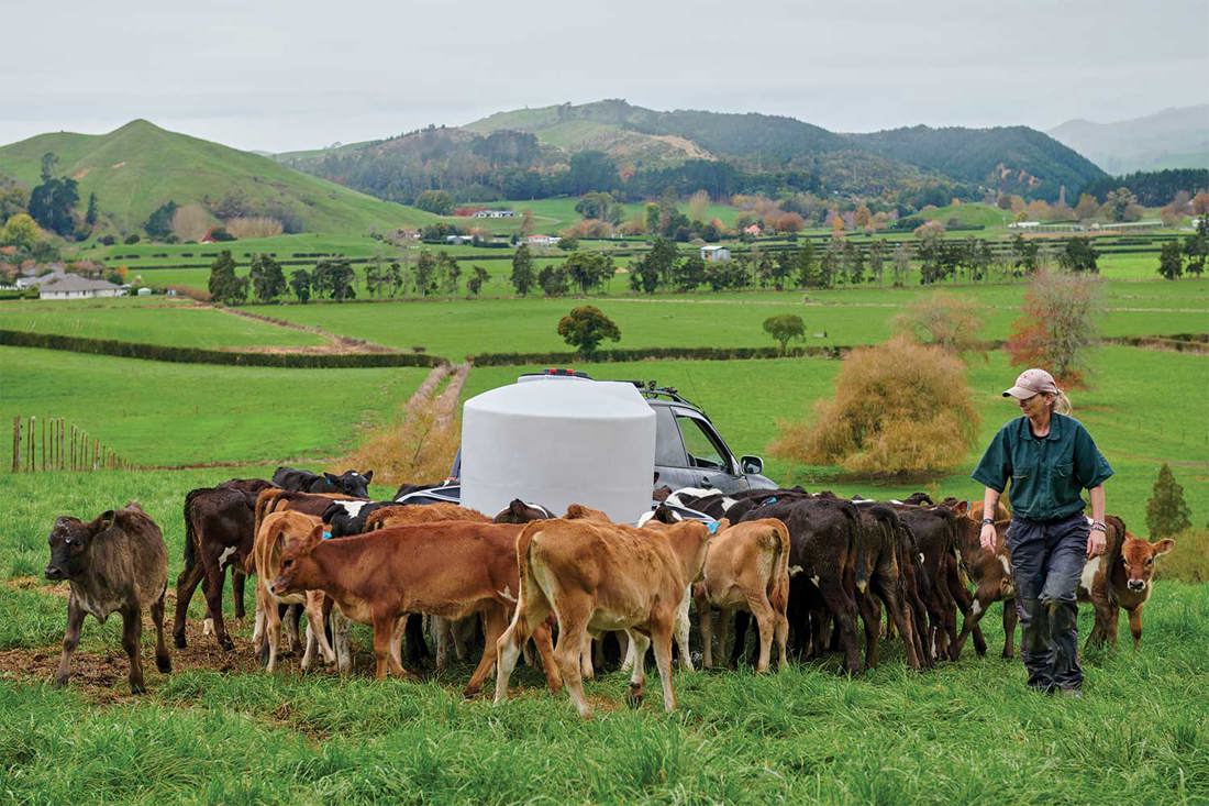Spring Smarts Setting Calves Up For Success1500x1000