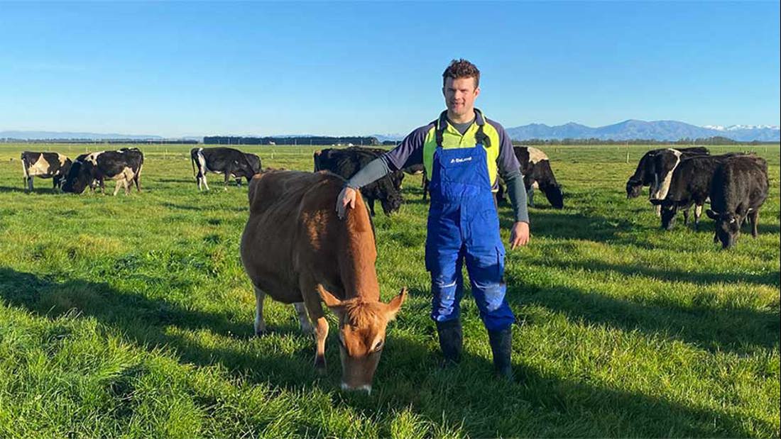 A man standing in grass field with cattle around him