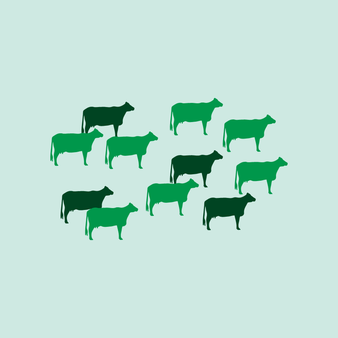 Target replacements from your top breeding worth (BW) cows and heifers when selecting for mating and breeding decisions