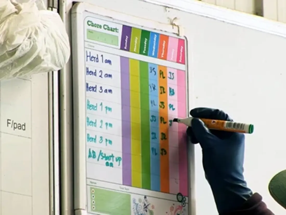 Rosters Chore Chart