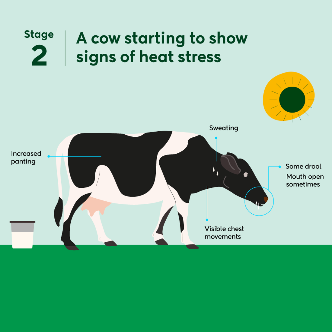Heat Stress S2 Square