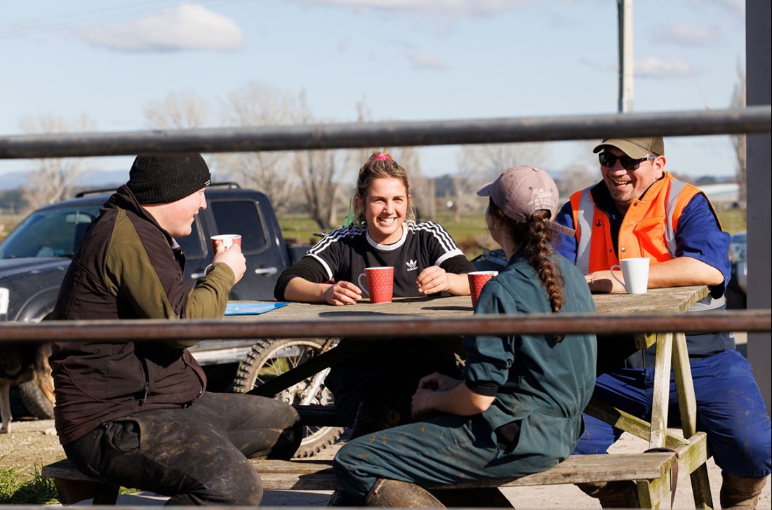 Rural Professionals Hub Hr Advisors Workplace Research Image