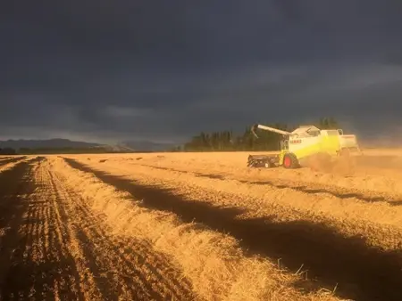 Early Trial