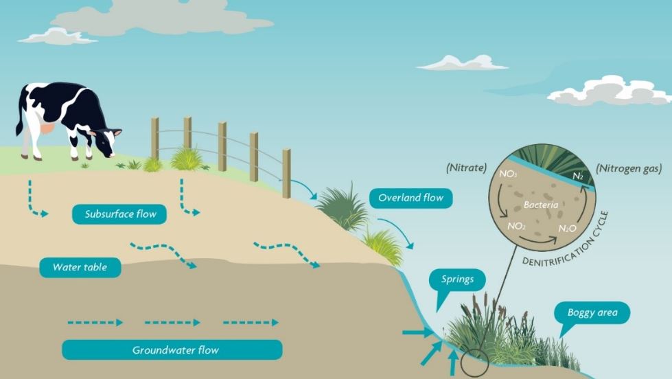 Groundwater flow infographic