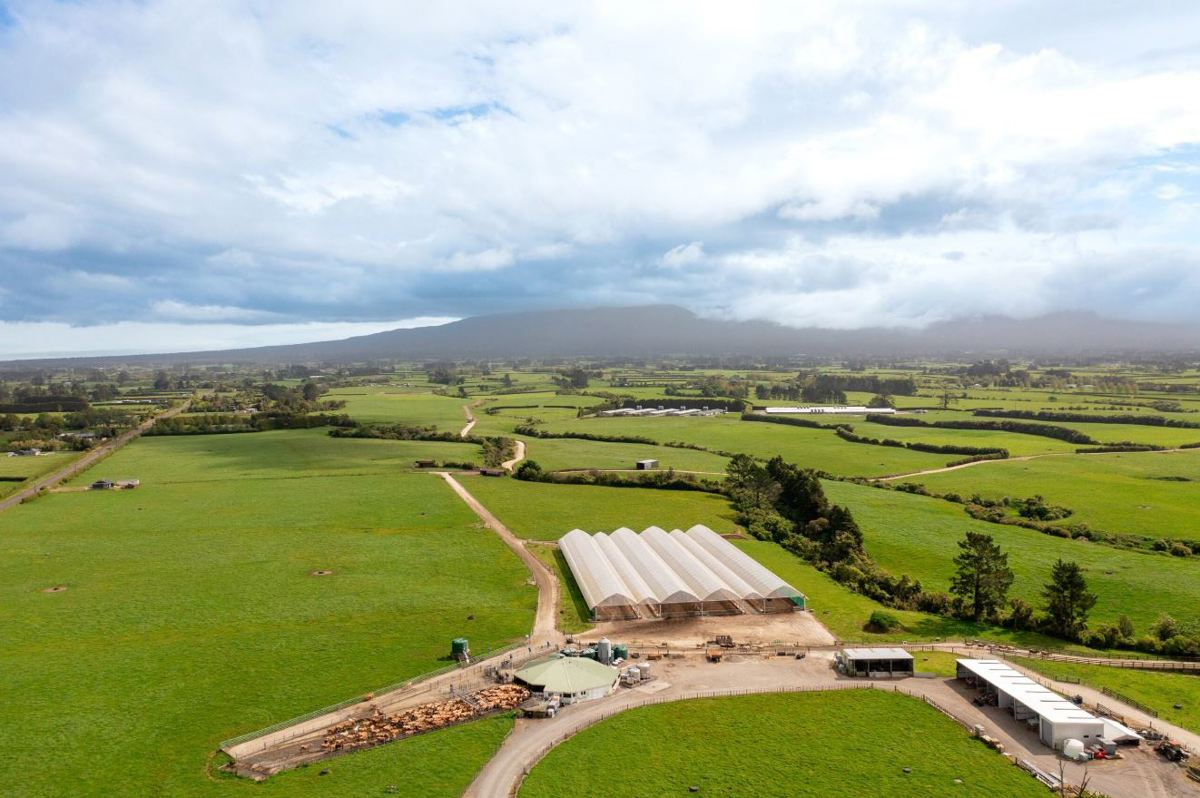 Aerial image of Mike and Sheree's Inglewood dairy farm.