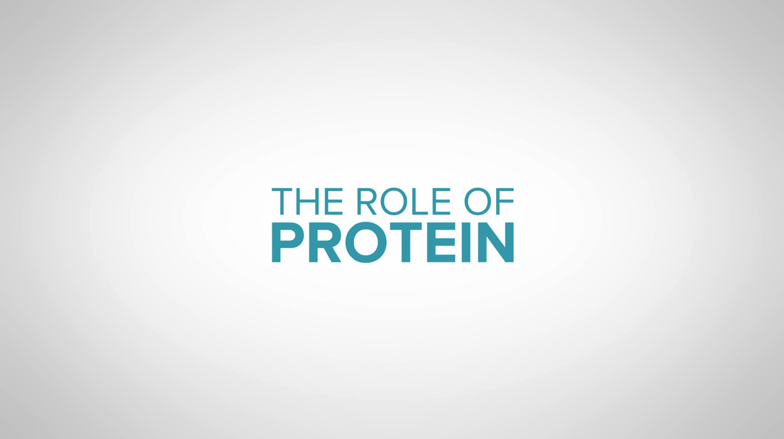 Role Of Protein Thumb