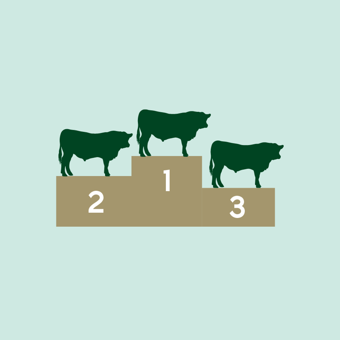 Using the best high breeding worth sires for breeding and mating to improve your herds genetics.