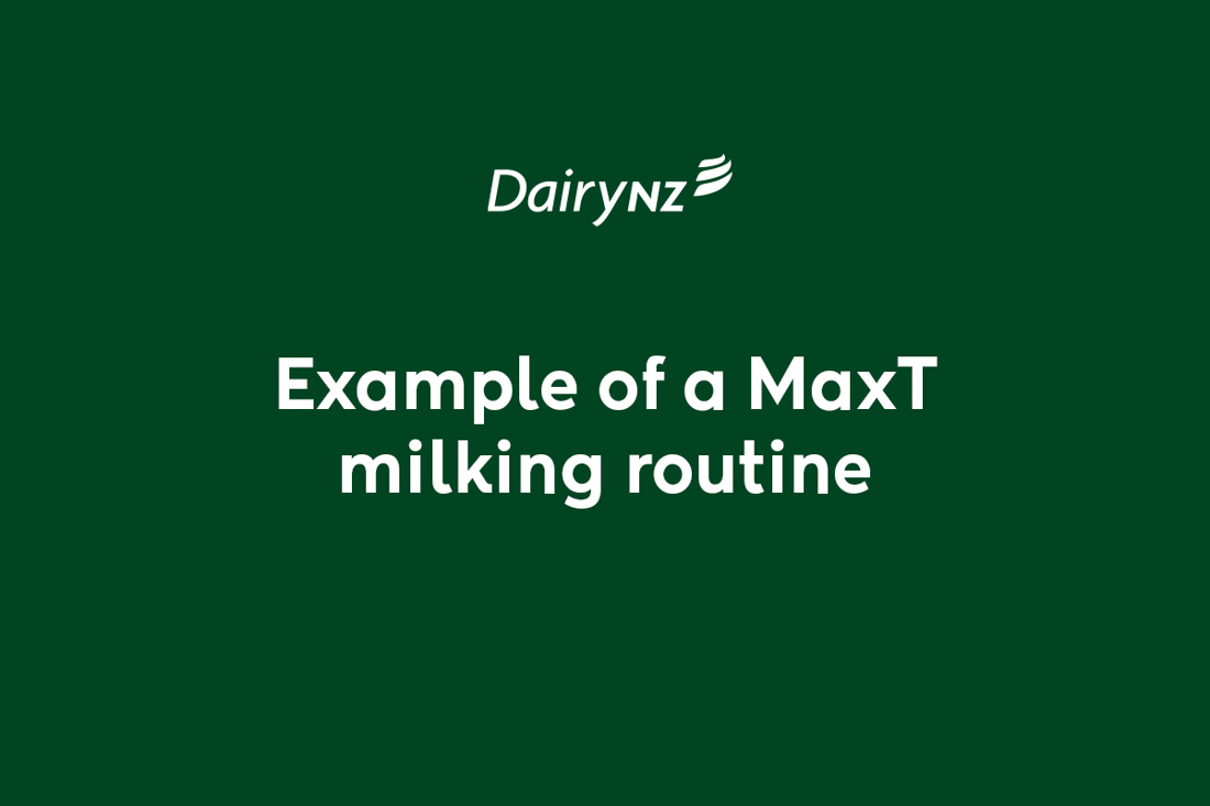 Example Of A Maxt Milking Routine