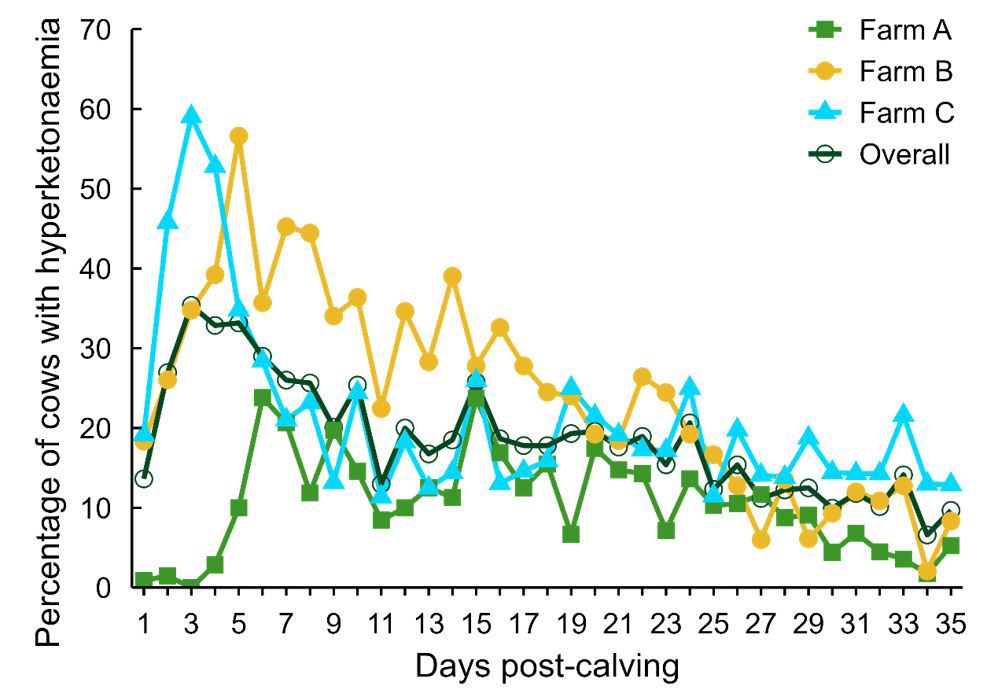 Blood Bhb And Cow Performance Graph Figure 2