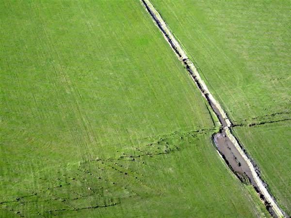 Earthquake hydrology and liquefaction