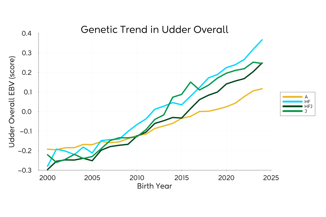 Genetic Trend Graph Udder 2025