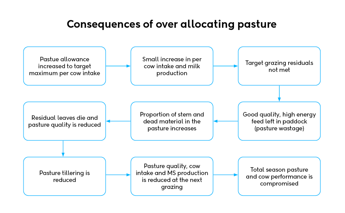 Consequences Of Over Allocating Pasture Flowchart July 2025