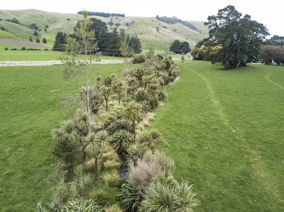  trees around waterways in a farm