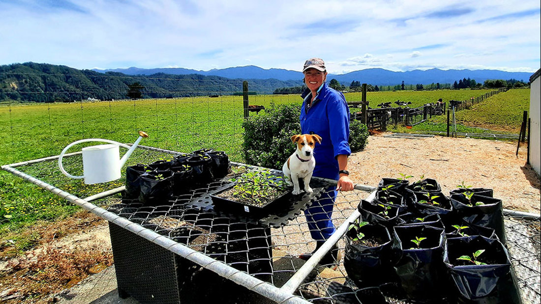 West Coast Kate With Seedlings Image3