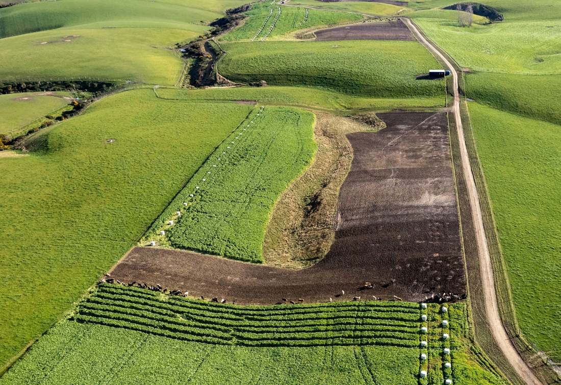 A protected Critical Source Area that is uncultivated and ungrazed in New Zealand.