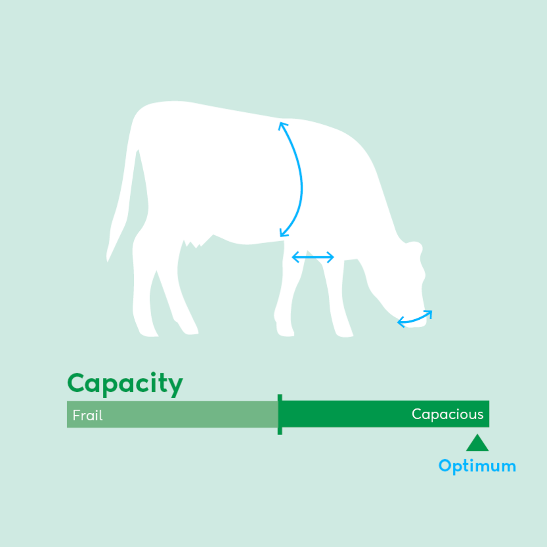 Image showing ideal capacity traits for dairy cow breeding values beyond milk production