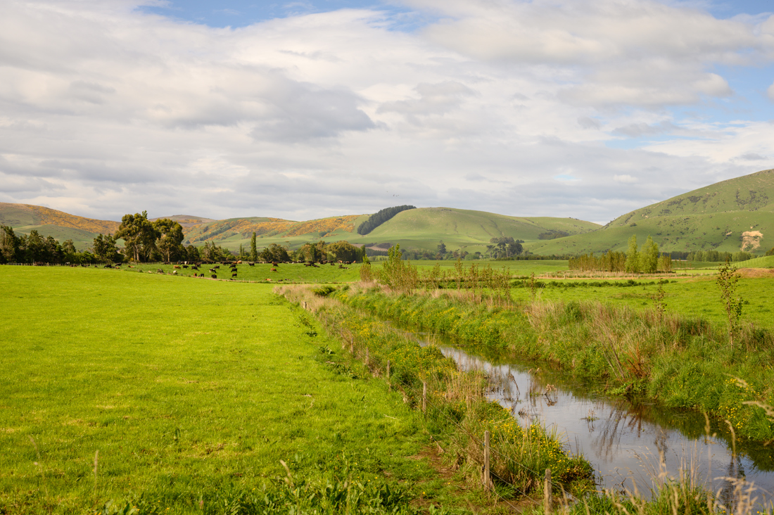 An image of stream
