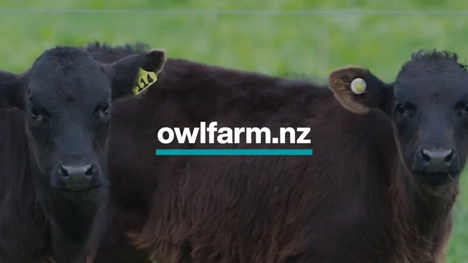 Owlfarm