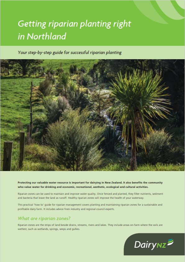 Getting Riparian Planting Right Northland Image
