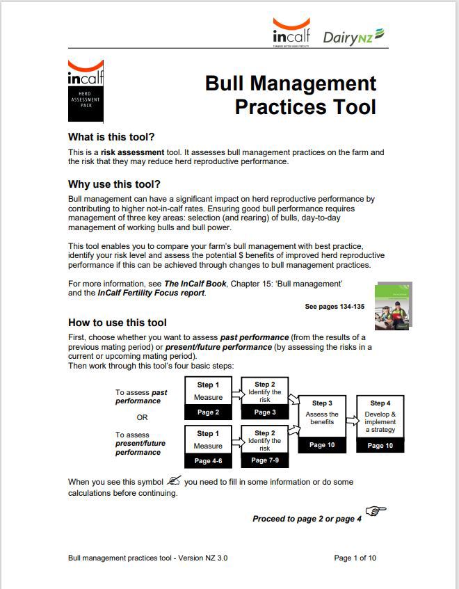 Incalf Bull Management Practices Image