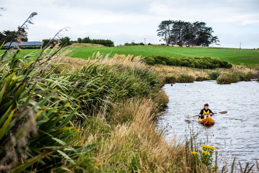 Riparian Planting River Canoe Image 1