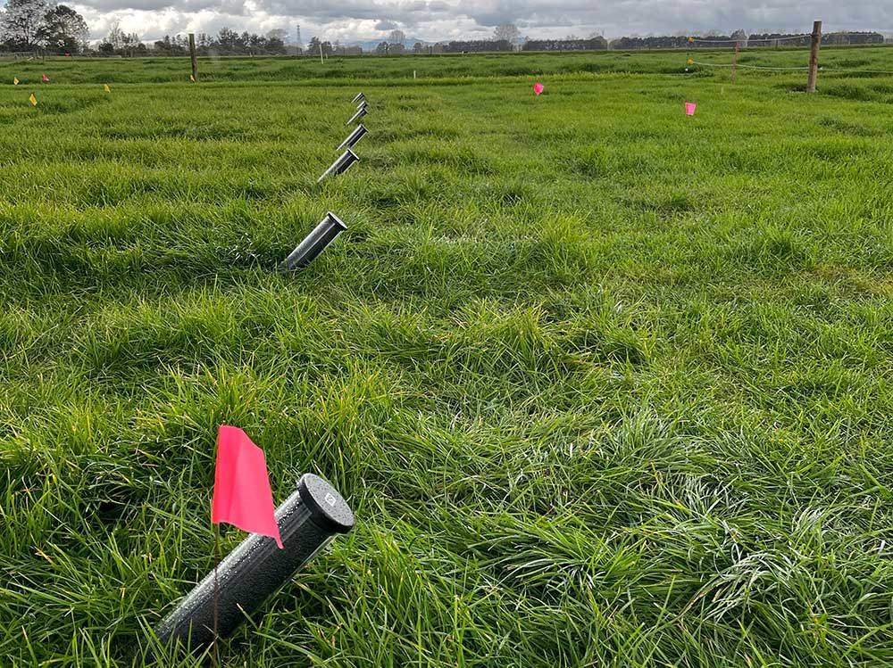 Rhizotron In Research Plot 1000X750