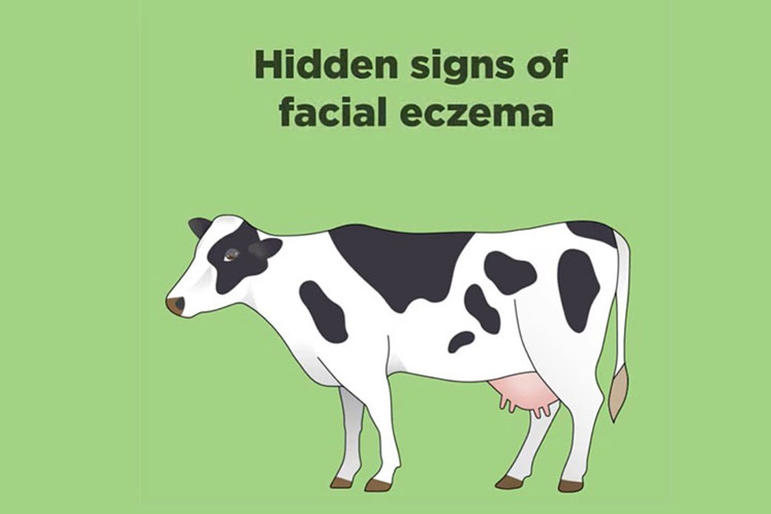 Hidden Signs Of Facial Eczema Video Placeholder Image V2
